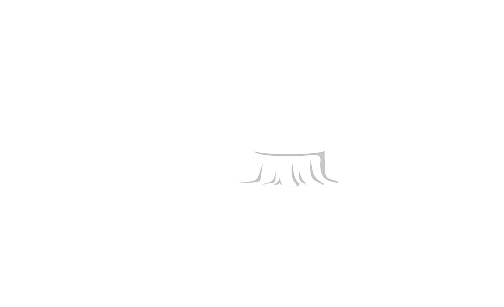 Curious Little Minds